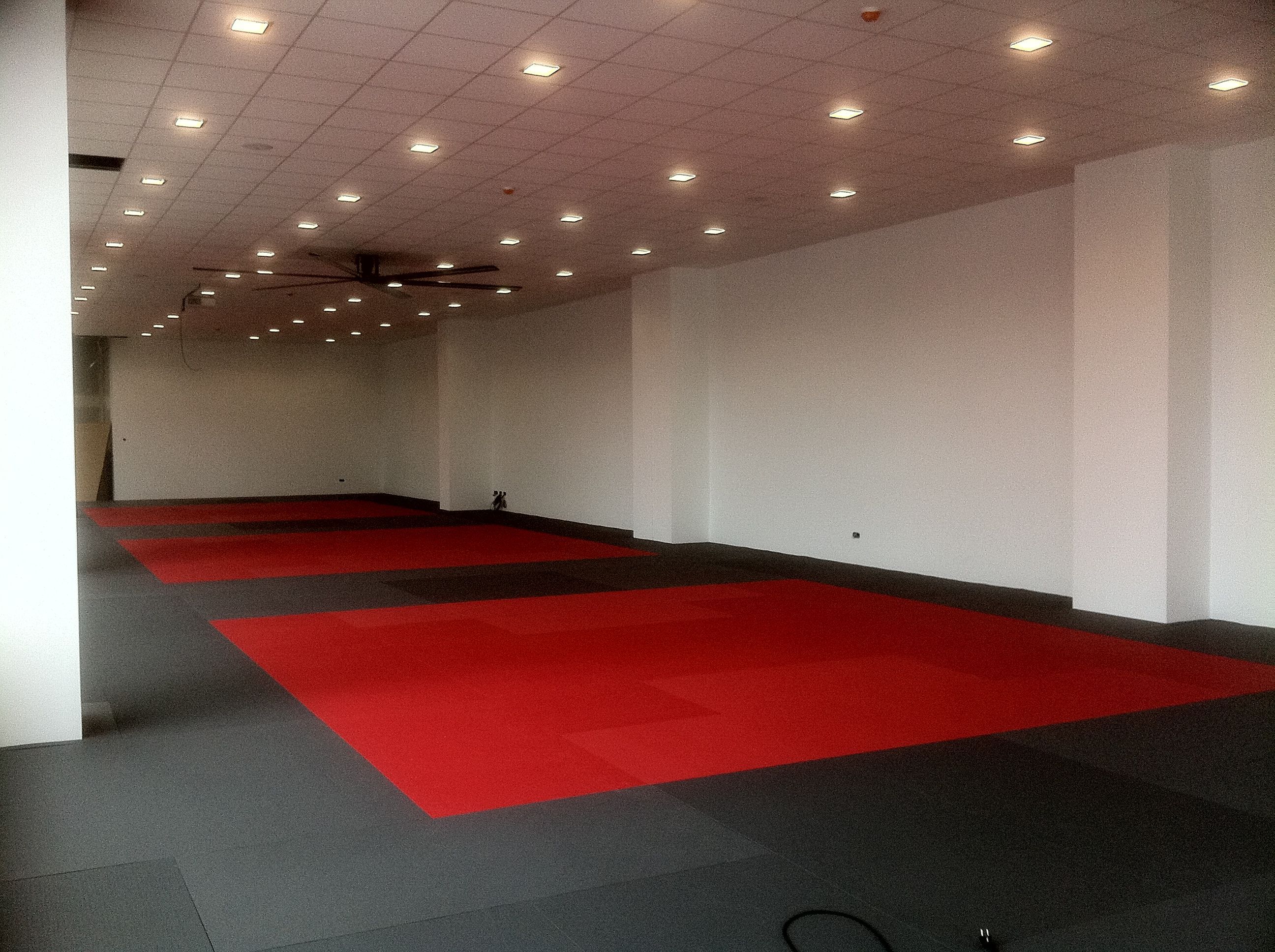 TATAMI VINILO
